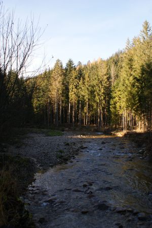 Wycieczka 3e 38